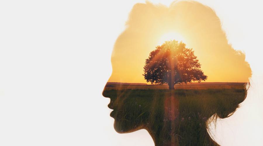 An image of a woman in silhouette shows the concept of mental health stories