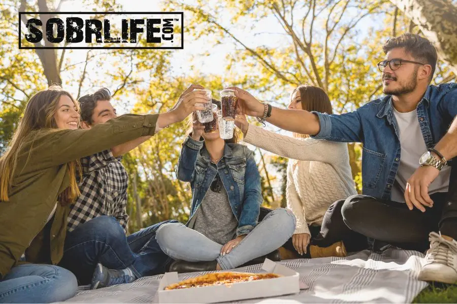 Four friends enjoy a picnic and pizza to show the concept of making friends sober