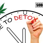 How to detox your body from THC blog by SOBRLIFE