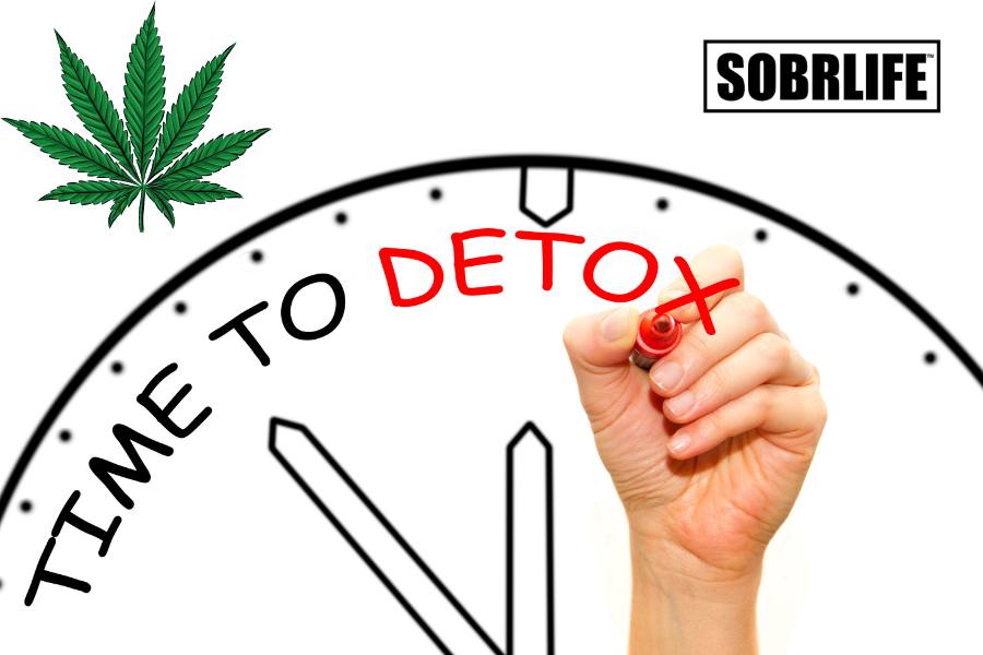 How to detox your body from THC blog by SOBRLIFE