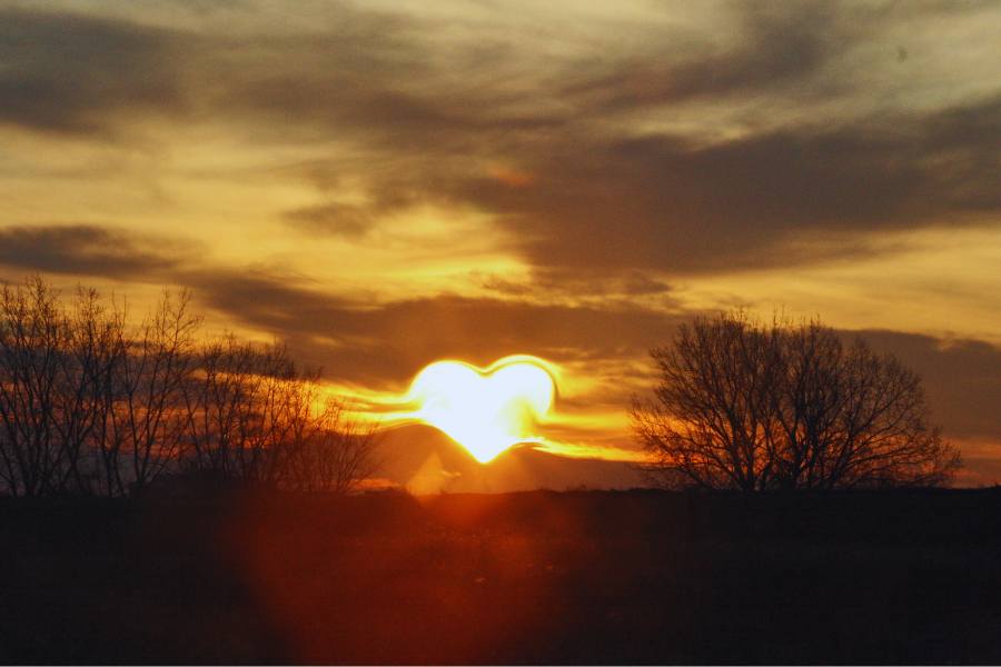 A heart shaped sunset over trees